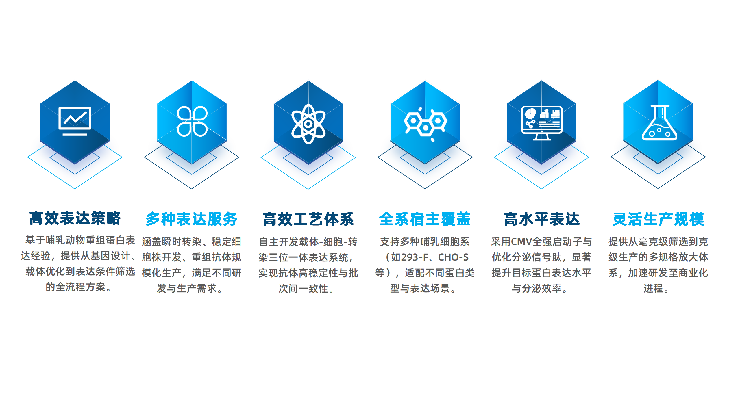 卡梅德新站图片-统一色系（中文）(1)_04.png