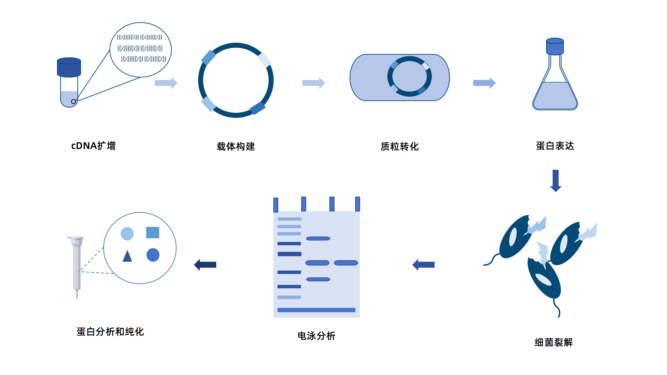 卡梅德新站图片-统一色系（中文）(1)_06.png