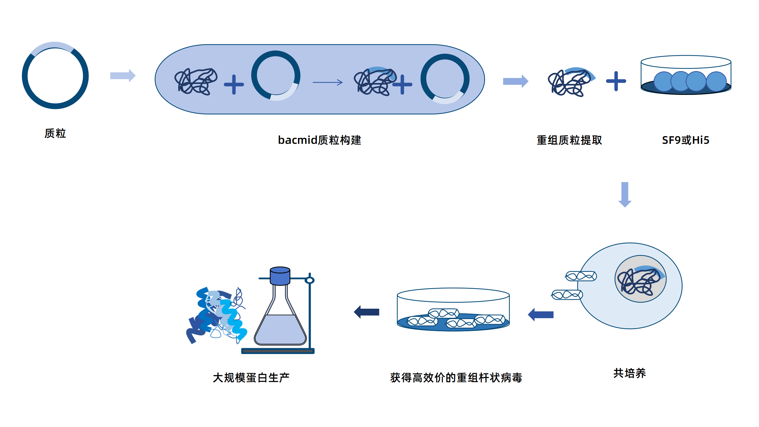卡梅德新站图片-统一色系（中文）(1)_09.png