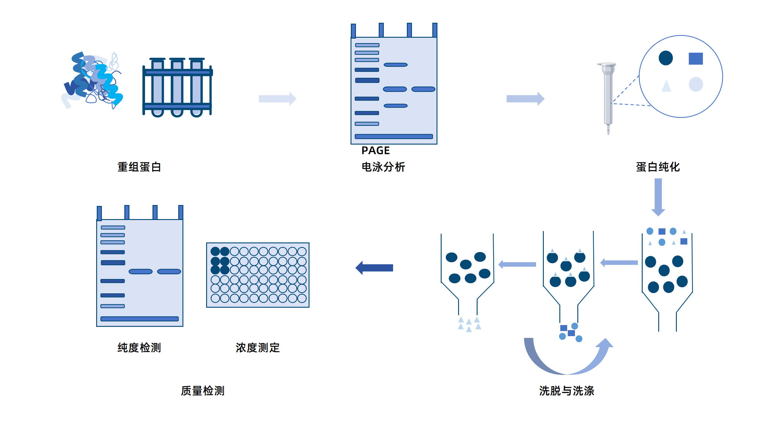 卡梅德新站图片-统一色系（中文）(1)_21.png
