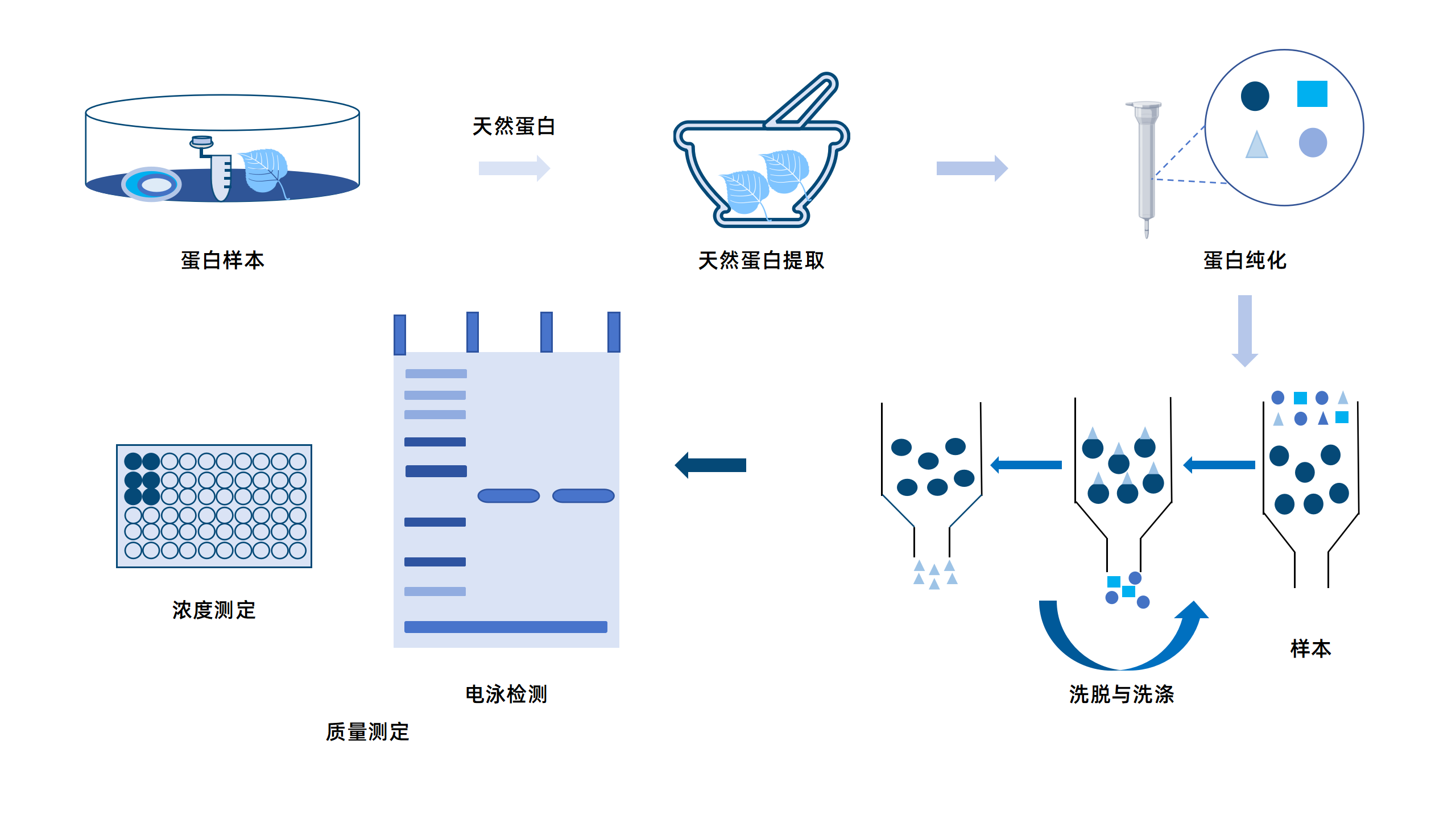 卡梅德新站图片-统一色系（中文）(1)_24.png