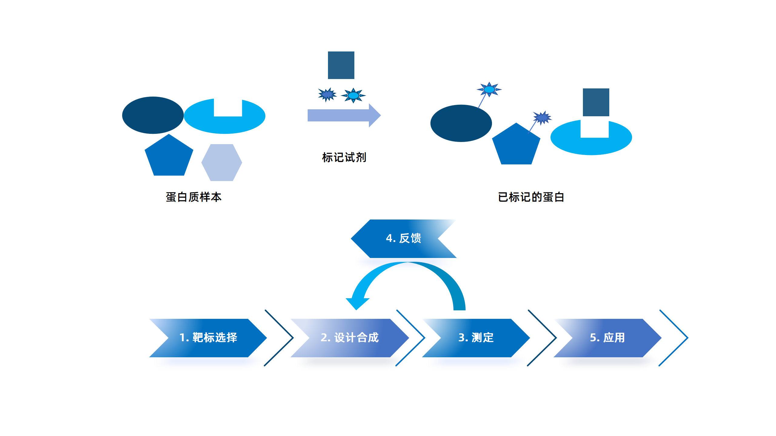 卡梅德新站图片-统一色系（中文）(1)_30.png