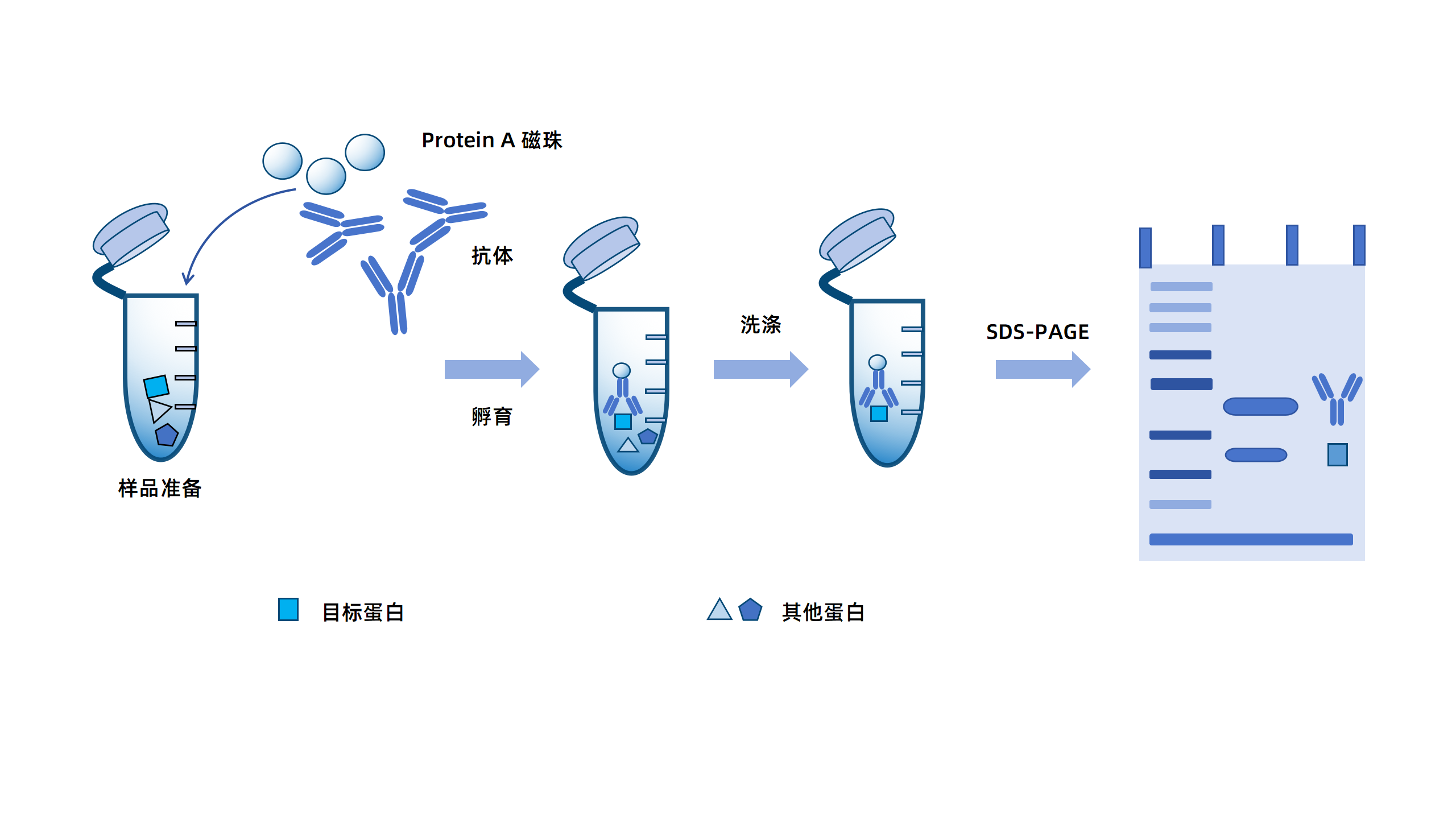卡梅德新站图片-统一色系（中文）(1)_36.png