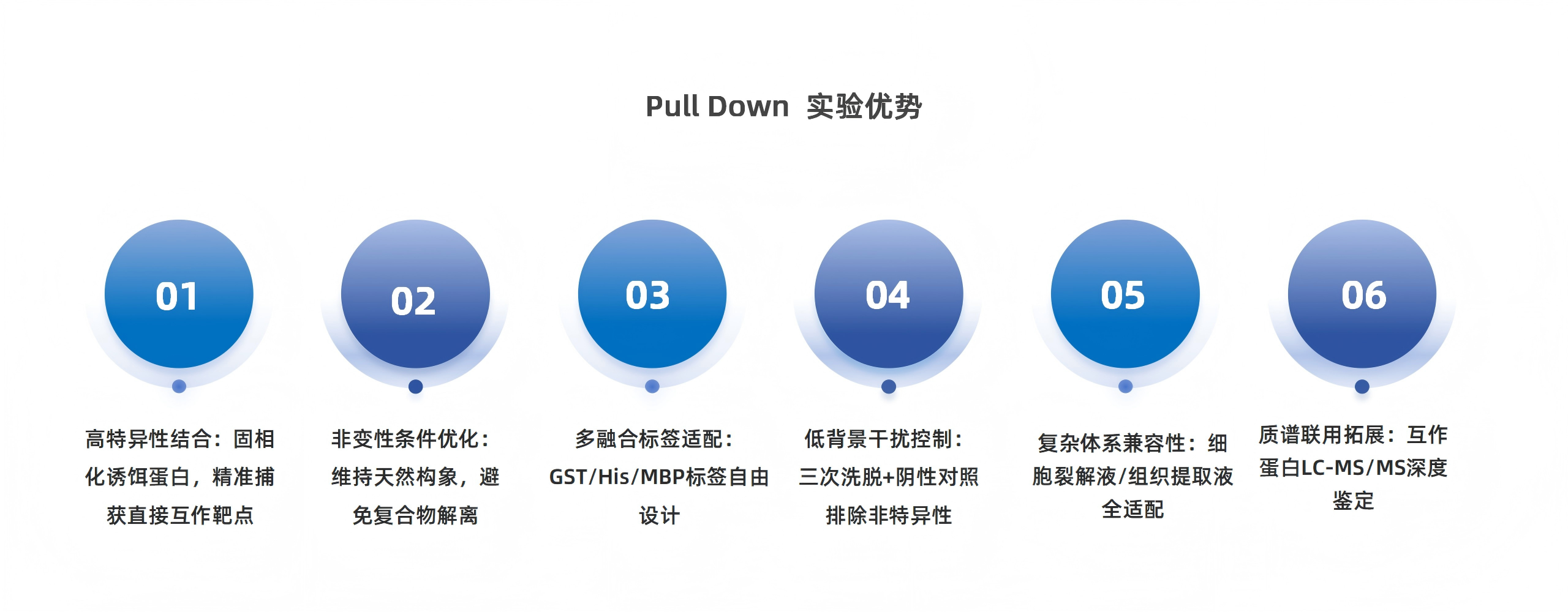卡梅德新站图片-统一色系（中文）(1)_40(1).png