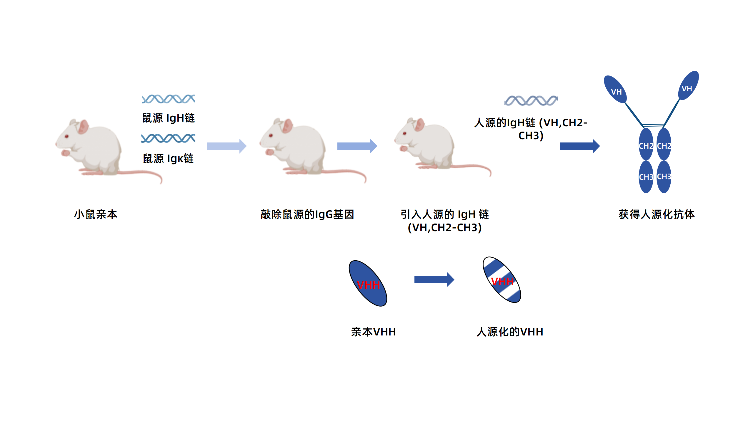 卡梅德新站图片-统一色系（中文）(1)_51.png