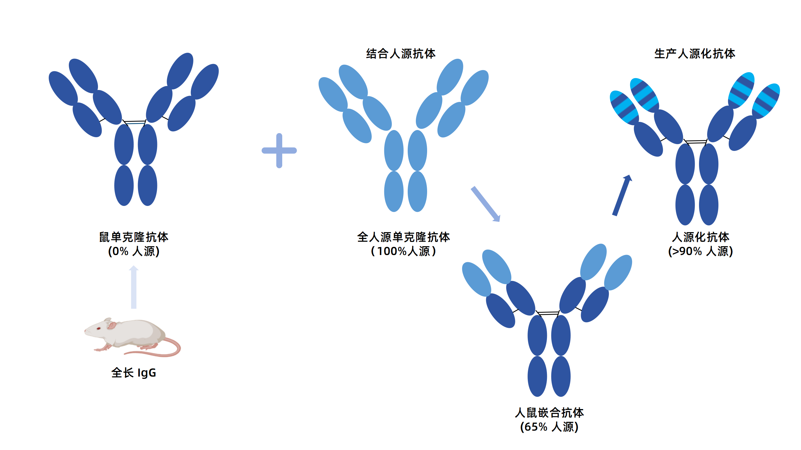 卡梅德新站图片-统一色系（中文）(1)_54.png