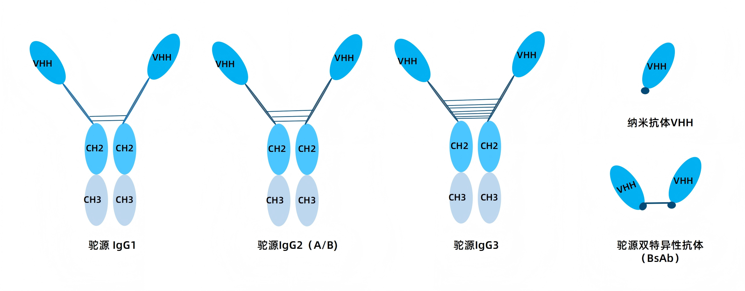 卡梅德新站图片-统一色系（中文）(1)_60(1).png