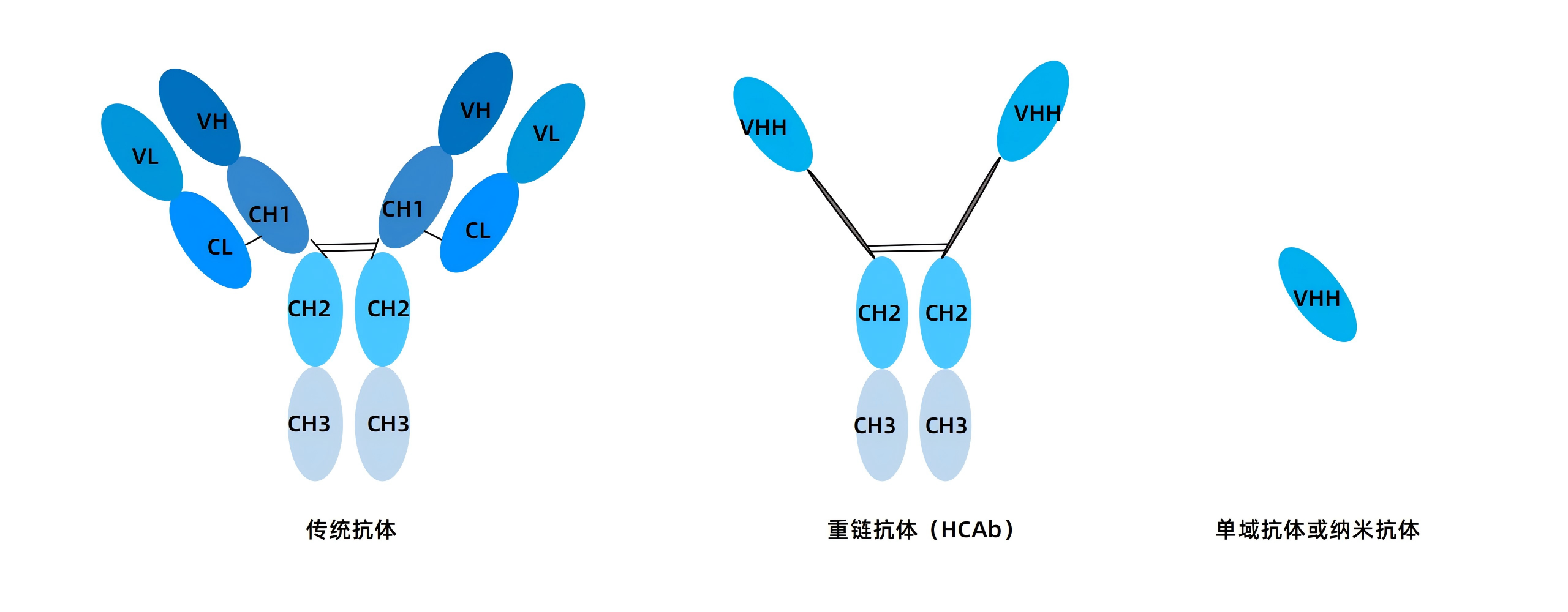 卡梅德新站图片-统一色系（中文）(1)_65(1).png