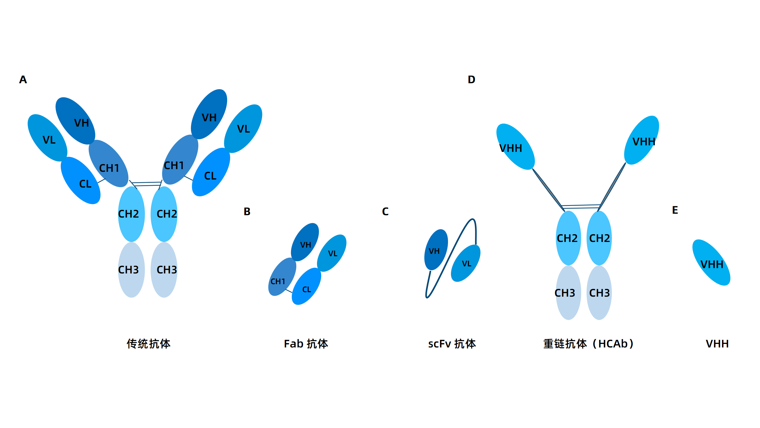 卡梅德新站图片-统一色系（中文）(1)_70.png