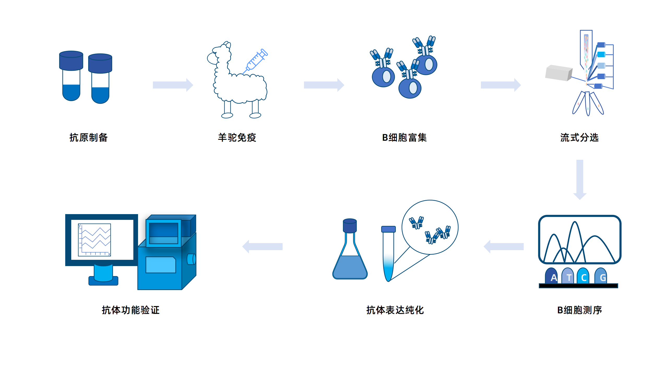 卡梅德新站图片-统一色系（中文）(1)_71.png