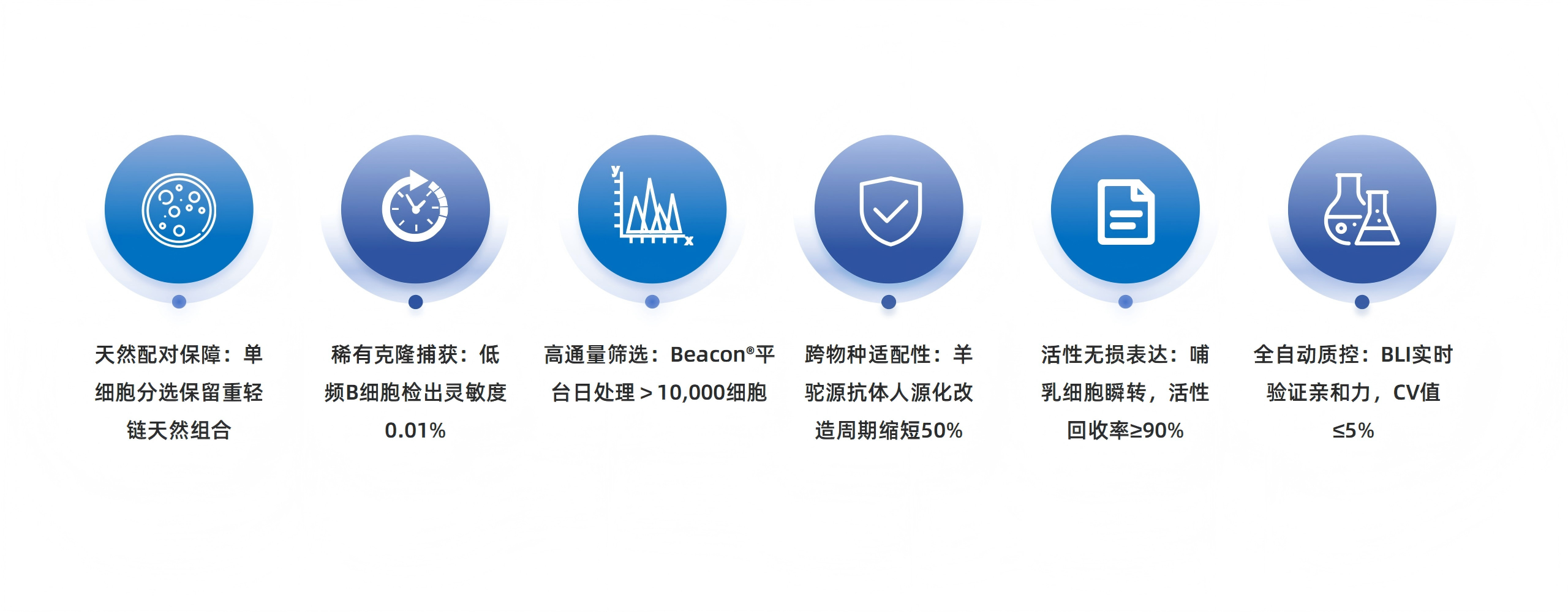 卡梅德新站图片-统一色系（中文）(1)_72(1).png