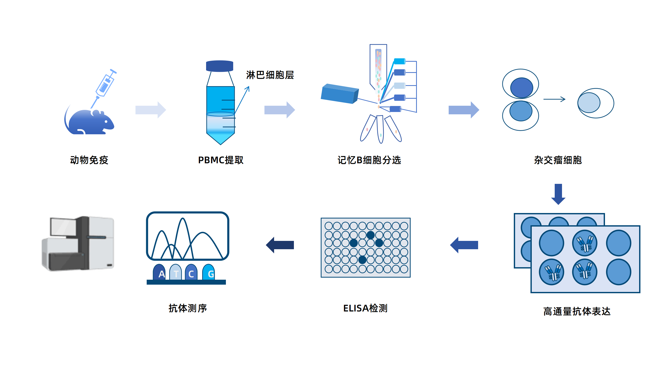 卡梅德新站图片-统一色系（中文）(1)_75.png