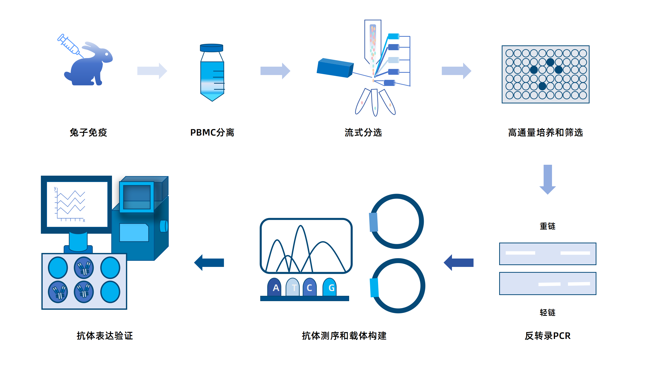 卡梅德新站图片-统一色系（中文）(1)_79.png