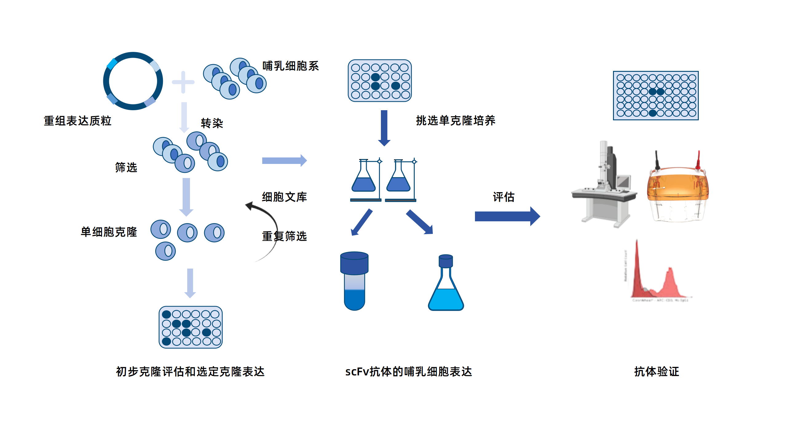 卡梅德新站图片-统一色系（中文）(1)_83.png