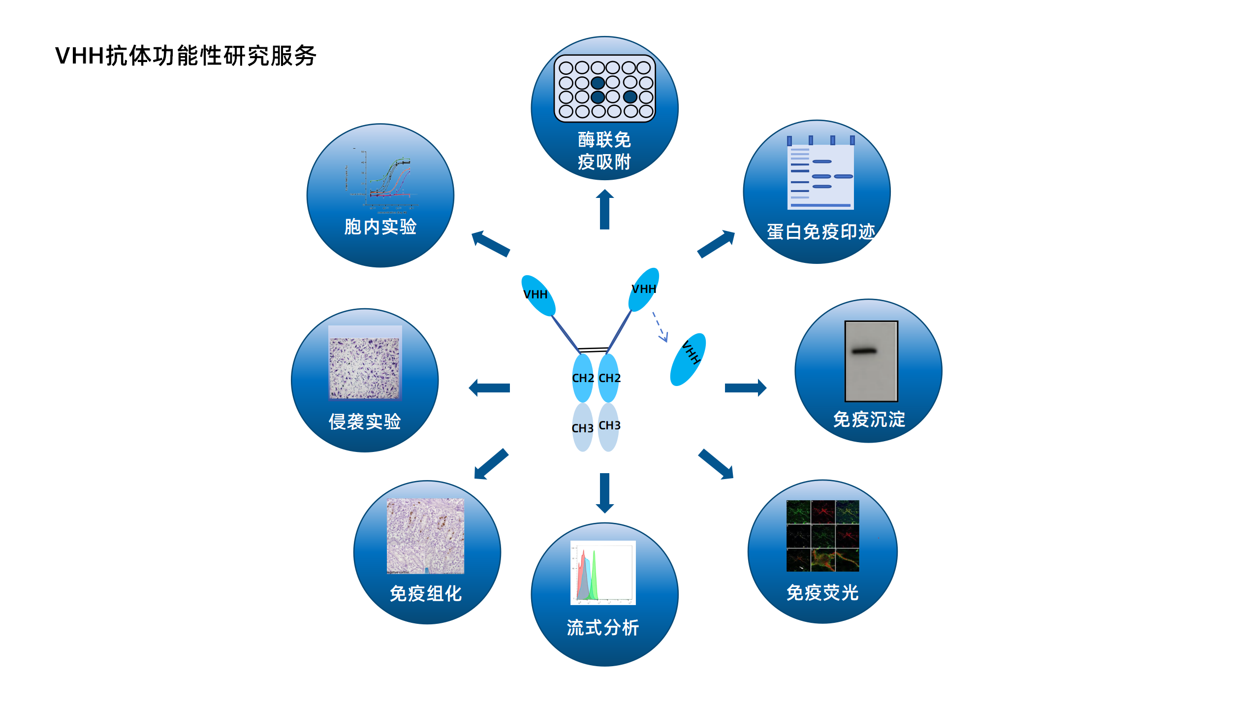 卡梅德新站图片-统一色系（中文）(1)_86.png