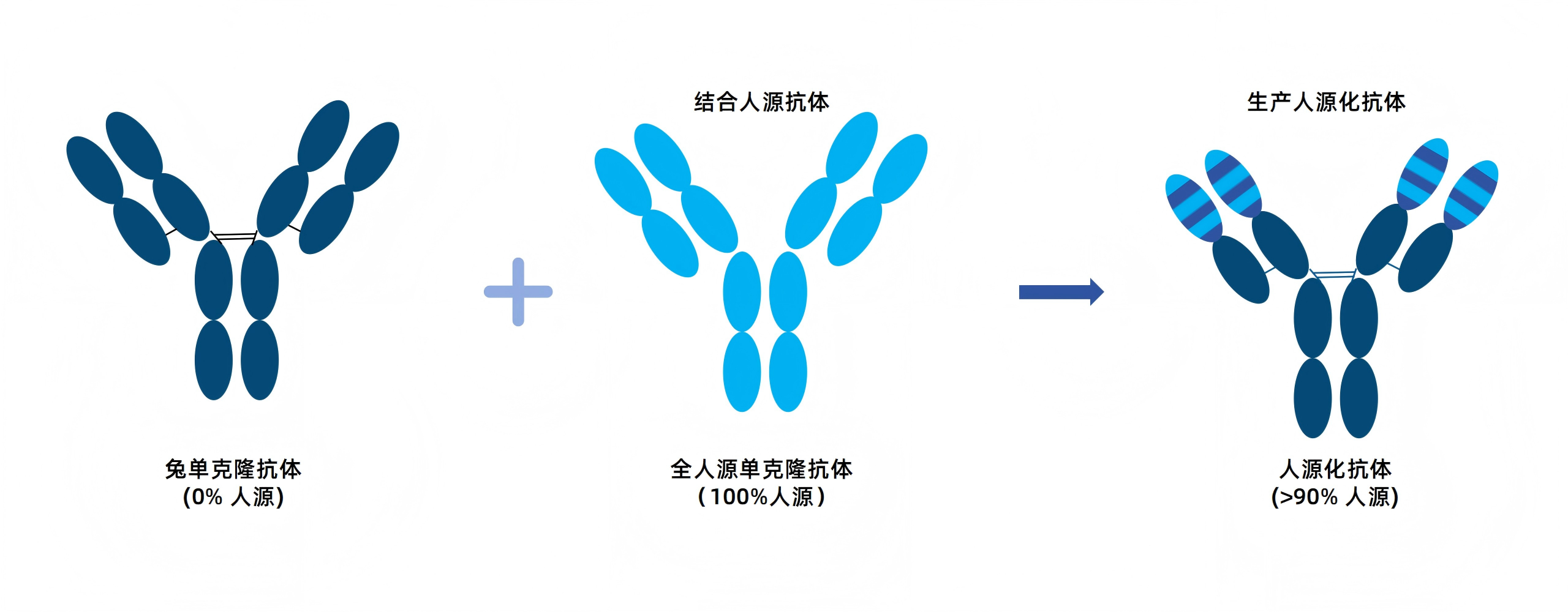 卡梅德新站图片-统一色系（中文）(1)_94(1).png