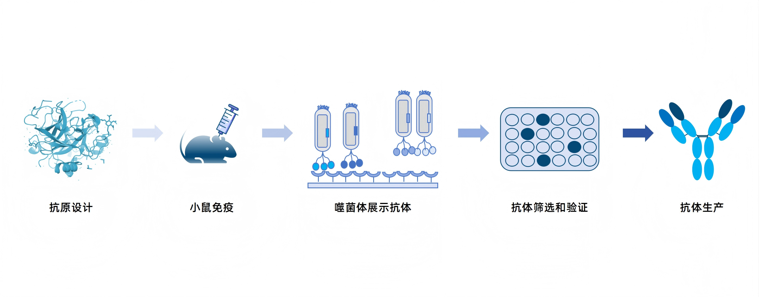 卡梅德新站图片-统一色系（中文）(1)_142(1).png