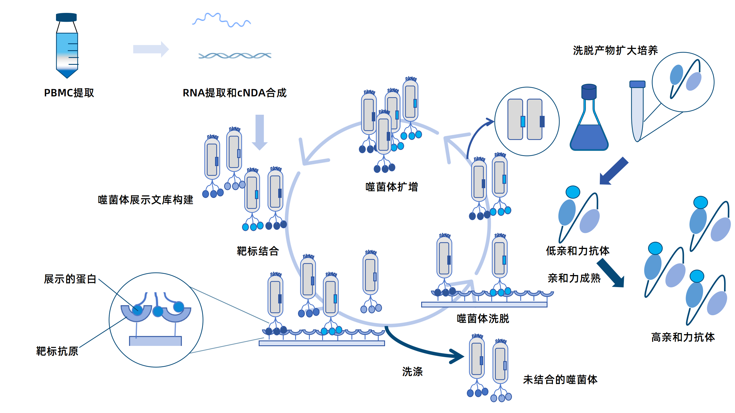 卡梅德新站图片-统一色系（中文）(1)_153.png