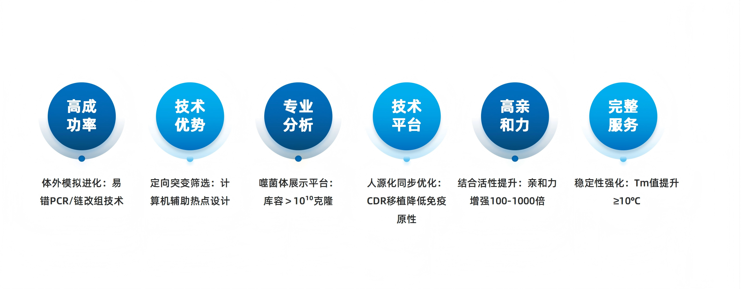 卡梅德新站图片-统一色系（中文）(1)_154(1).png