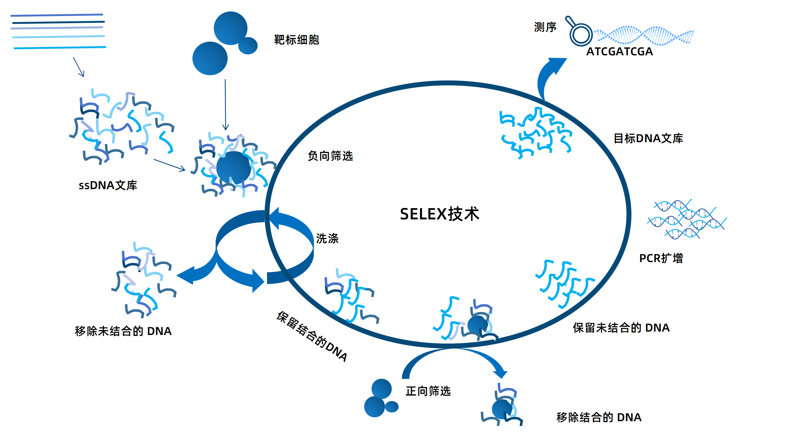 卡梅德新站图片-统一色系（中文）(1)_157.png
