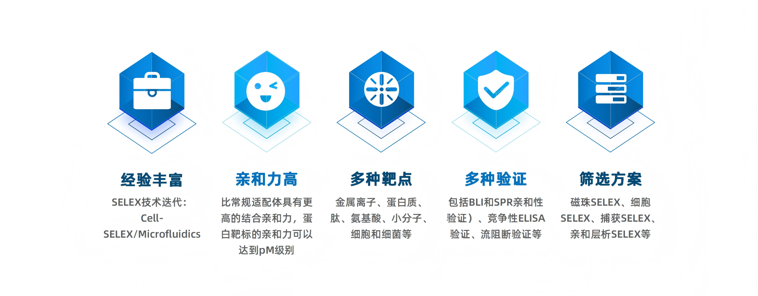 卡梅德新站图片-统一色系（中文）(1)_158(1).png