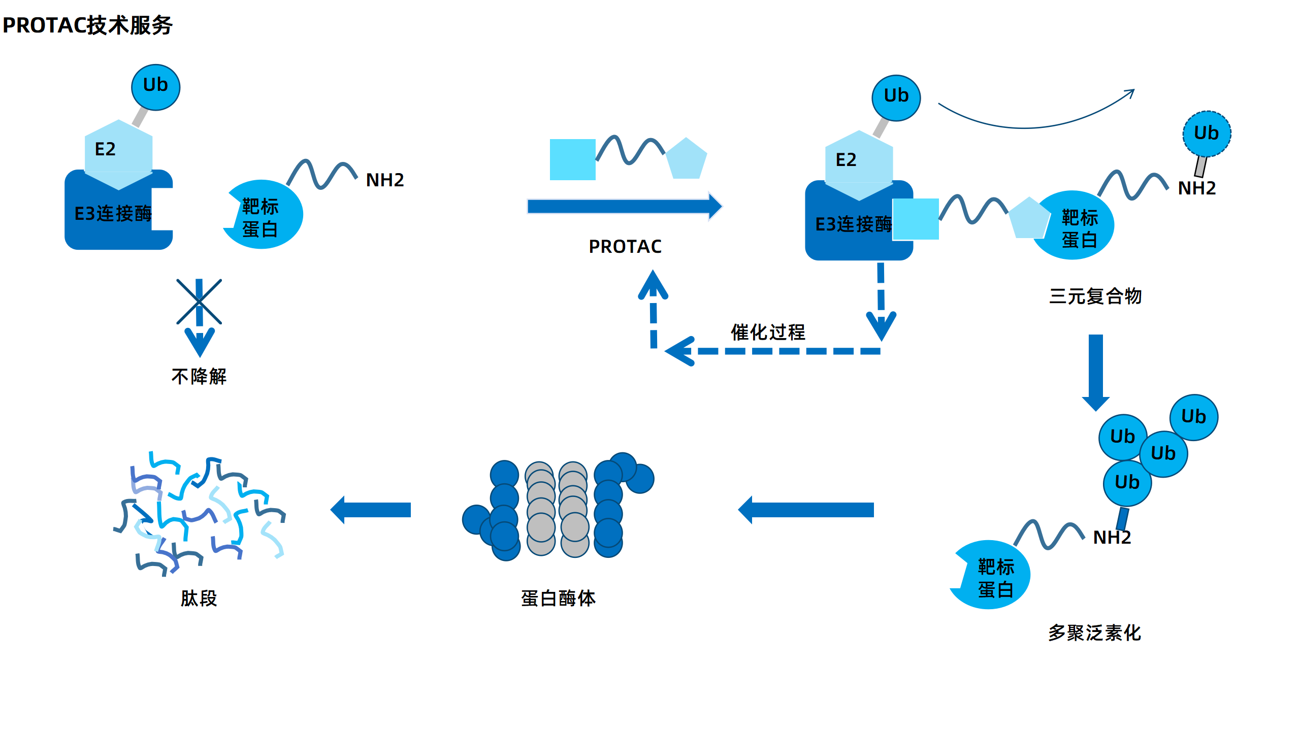 卡梅德新站图片-统一色系（中文）(1)_160.png