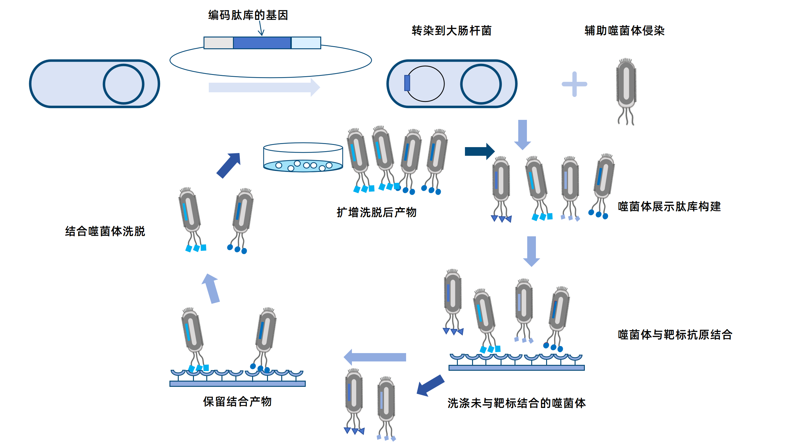 卡梅德新站图片-统一色系（中文）(1)_169.png