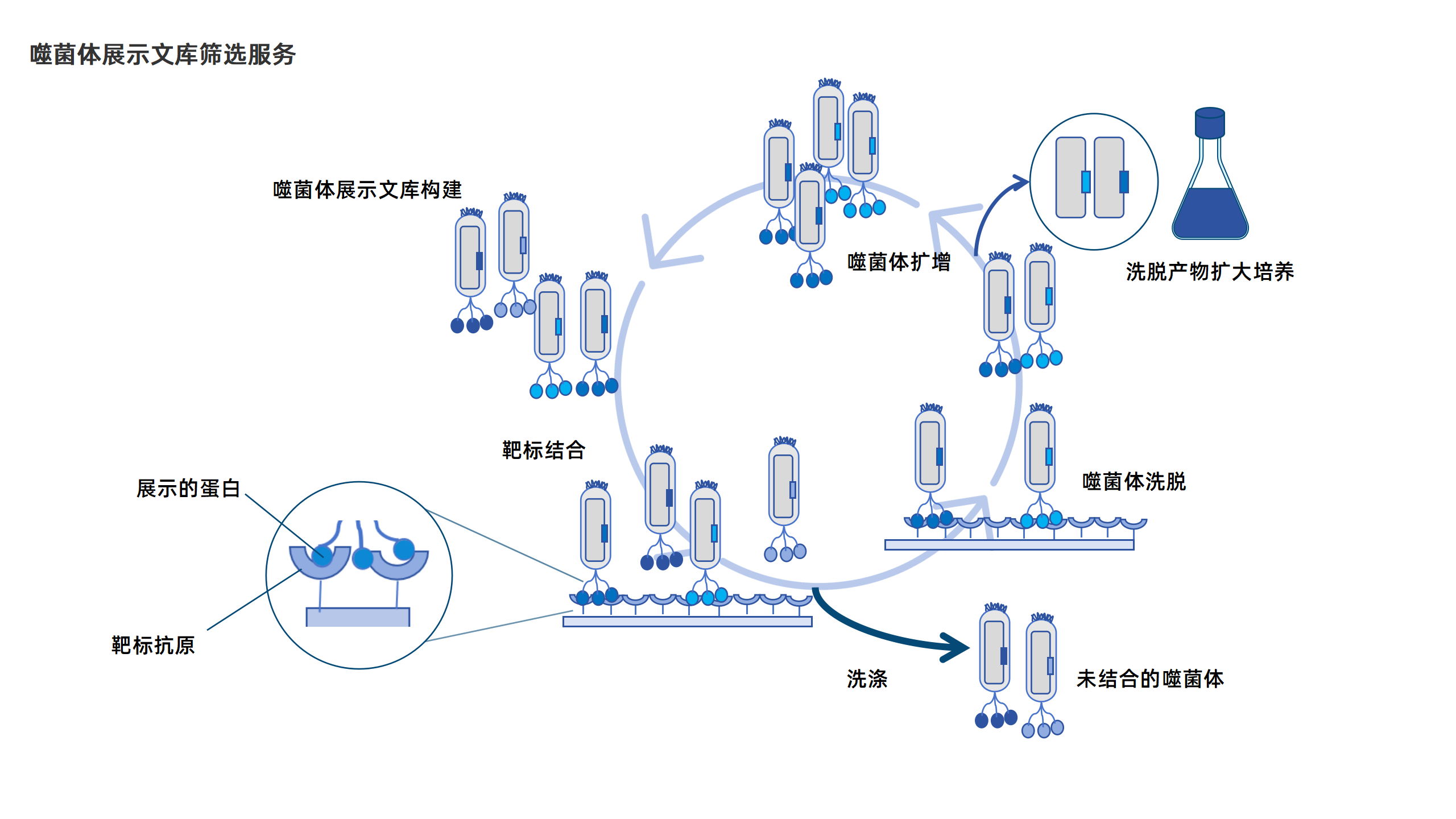 卡梅德新站图片-统一色系（中文）(1)_183.png
