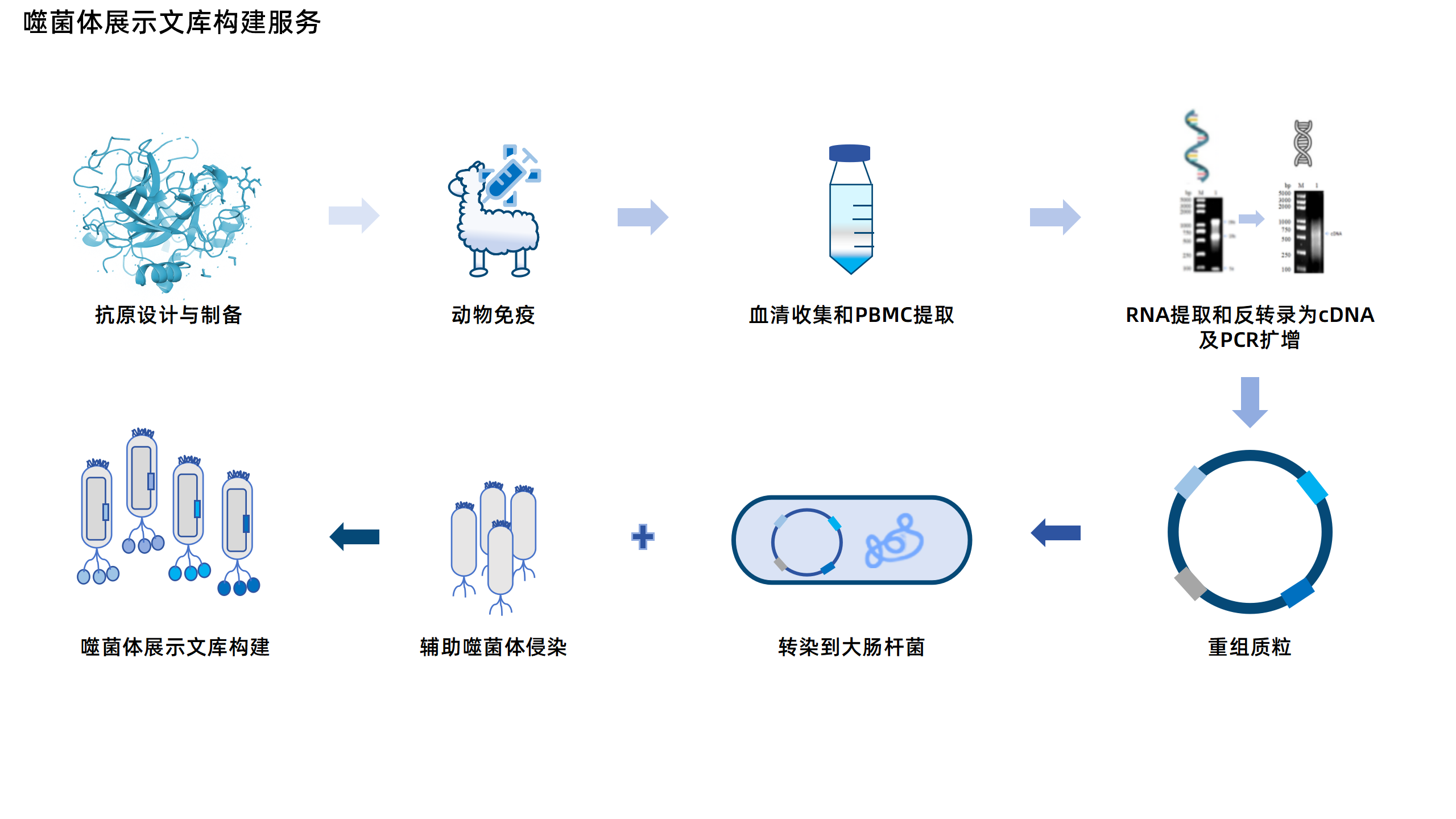 卡梅德新站图片-统一色系（中文）(1)_195.png