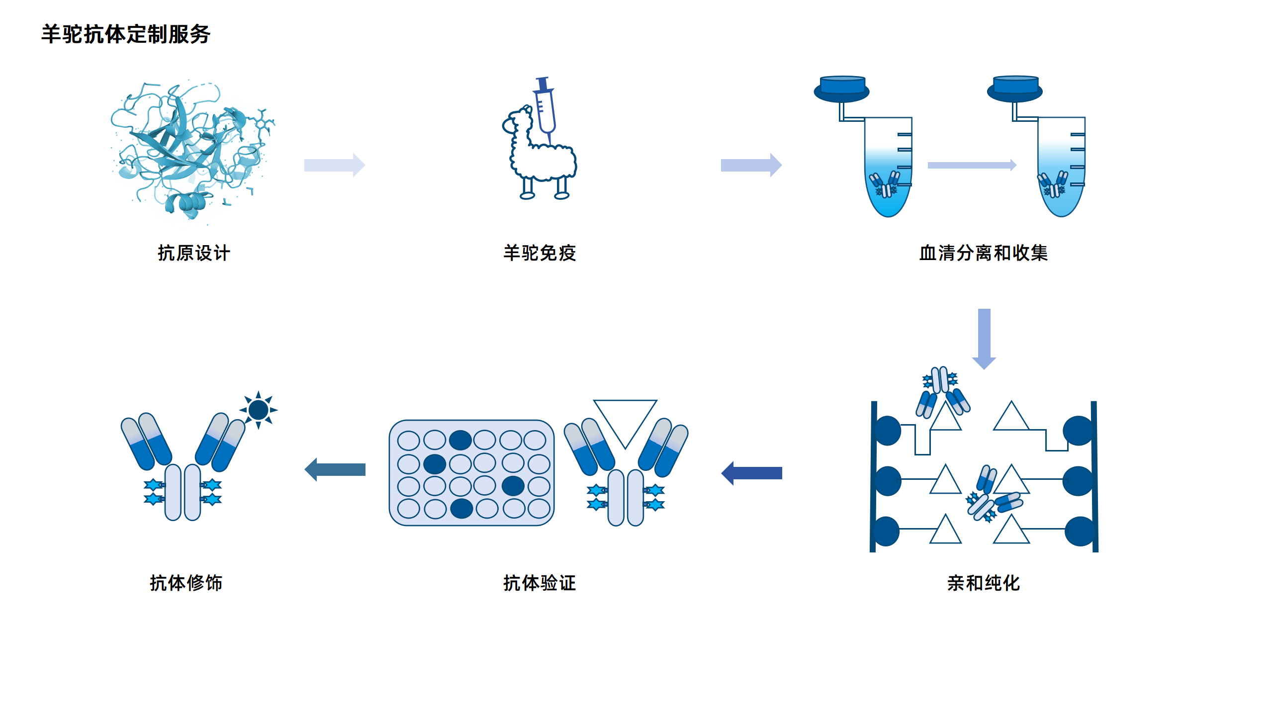 卡梅德新站图片-统一色系（中文）(1)_120.png