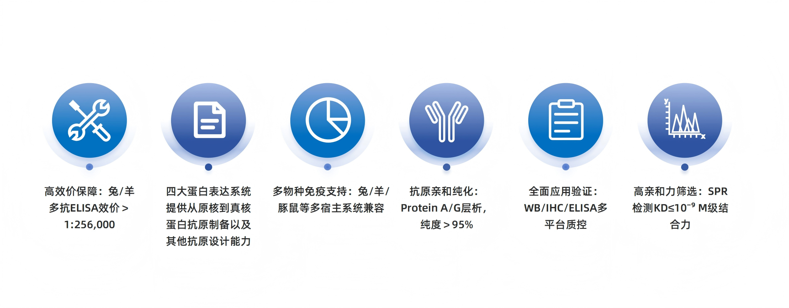 卡梅德新站图片-统一色系（中文）(1)_139(1).png