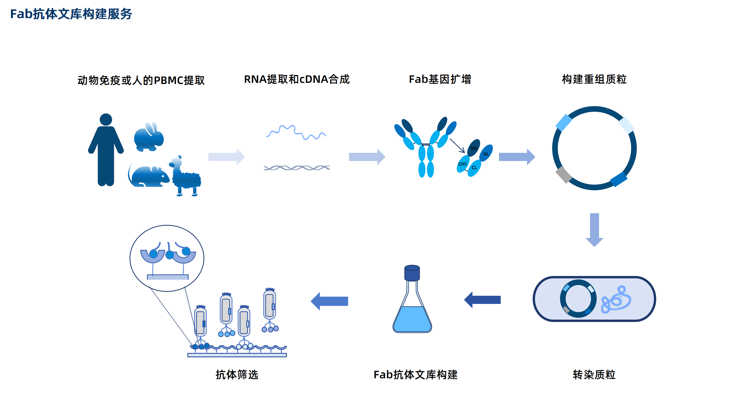 卡梅德新站图片-统一色系（中文）(1)_173.png