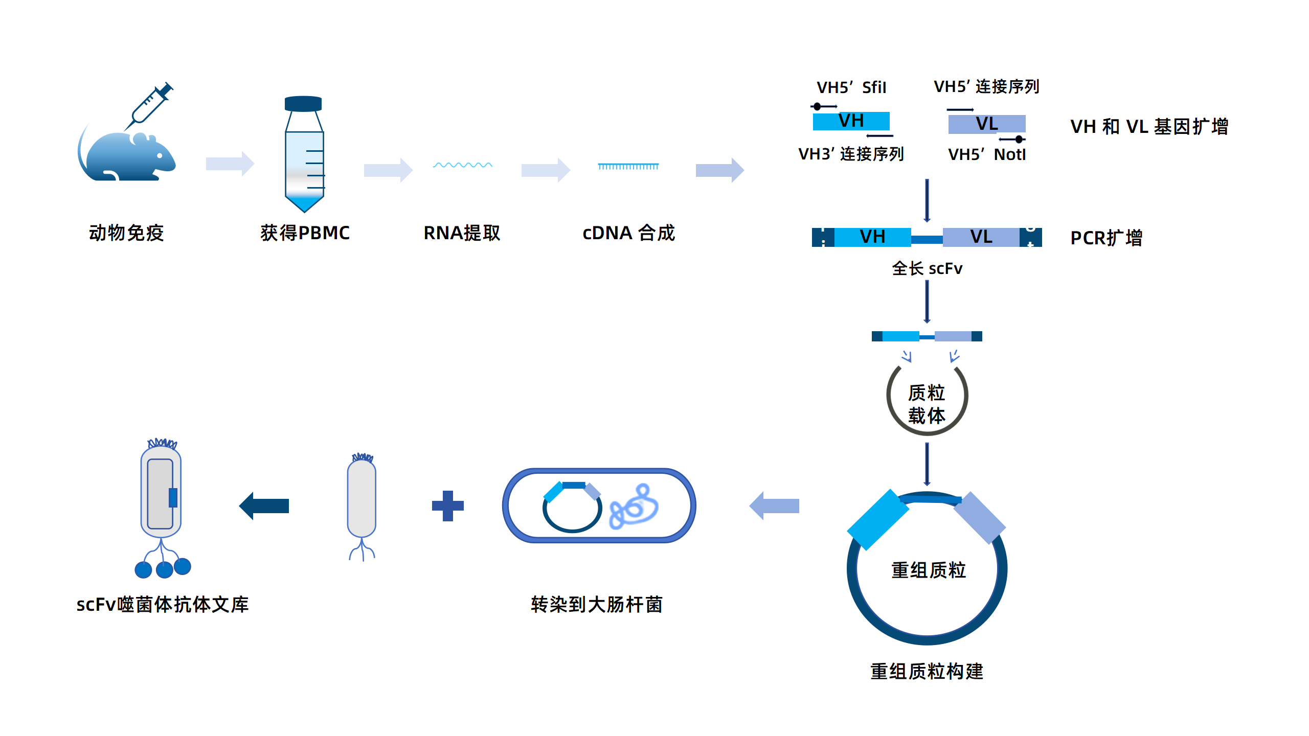 卡梅德新站图片-统一色系（中文）(1)_177.png