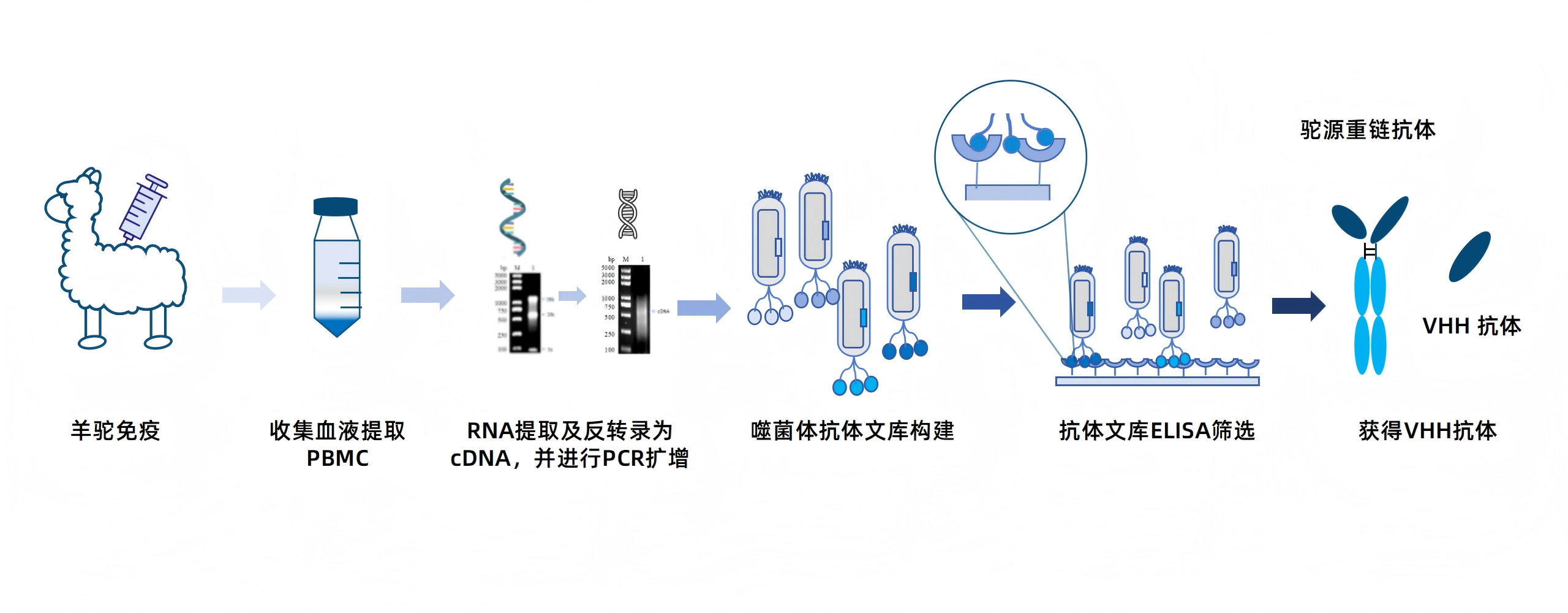 卡梅德新站图片-统一色系（中文）(1)_180(1).png