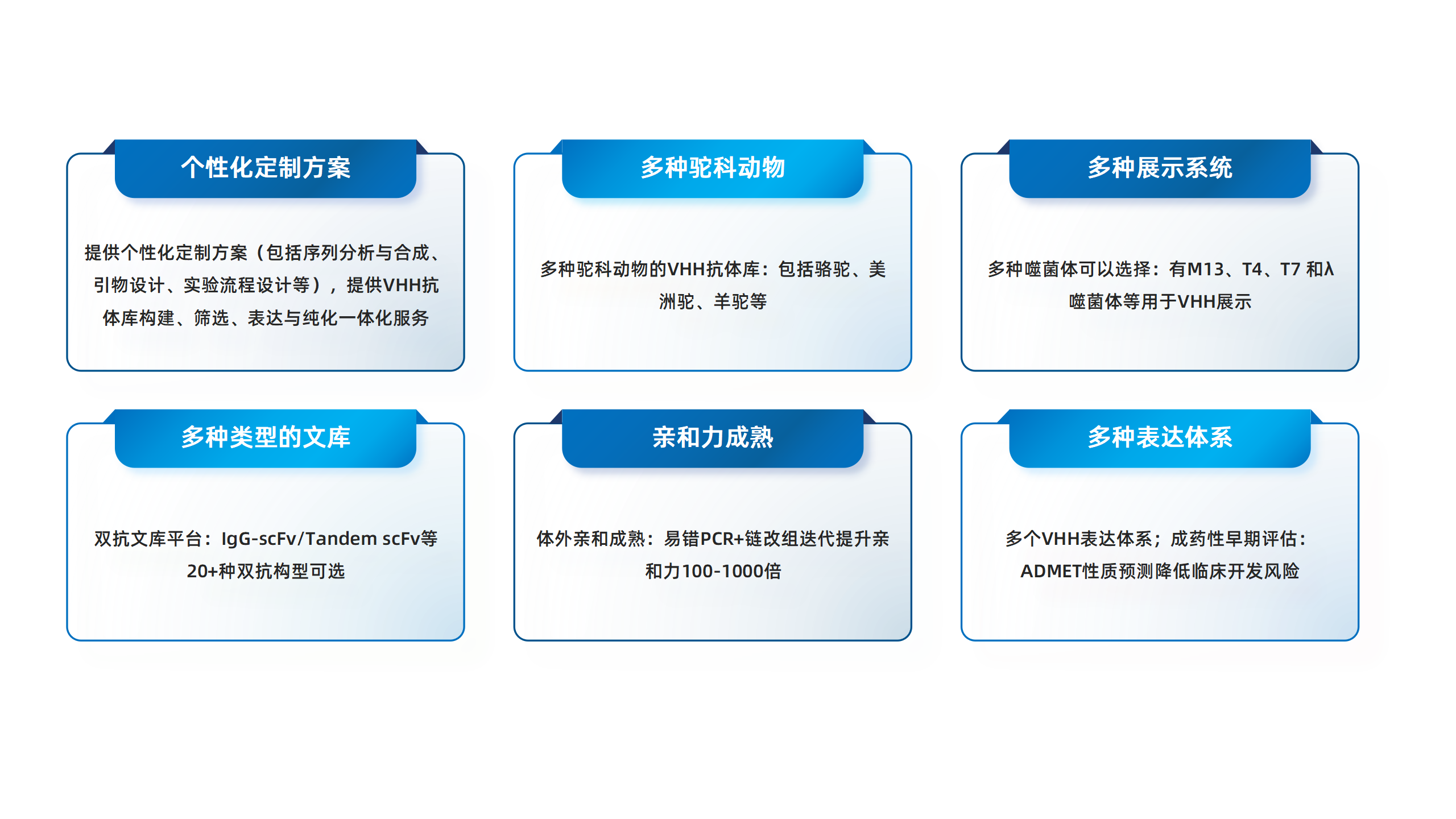 卡梅德新站图片-统一色系（中文）(1)_181.png