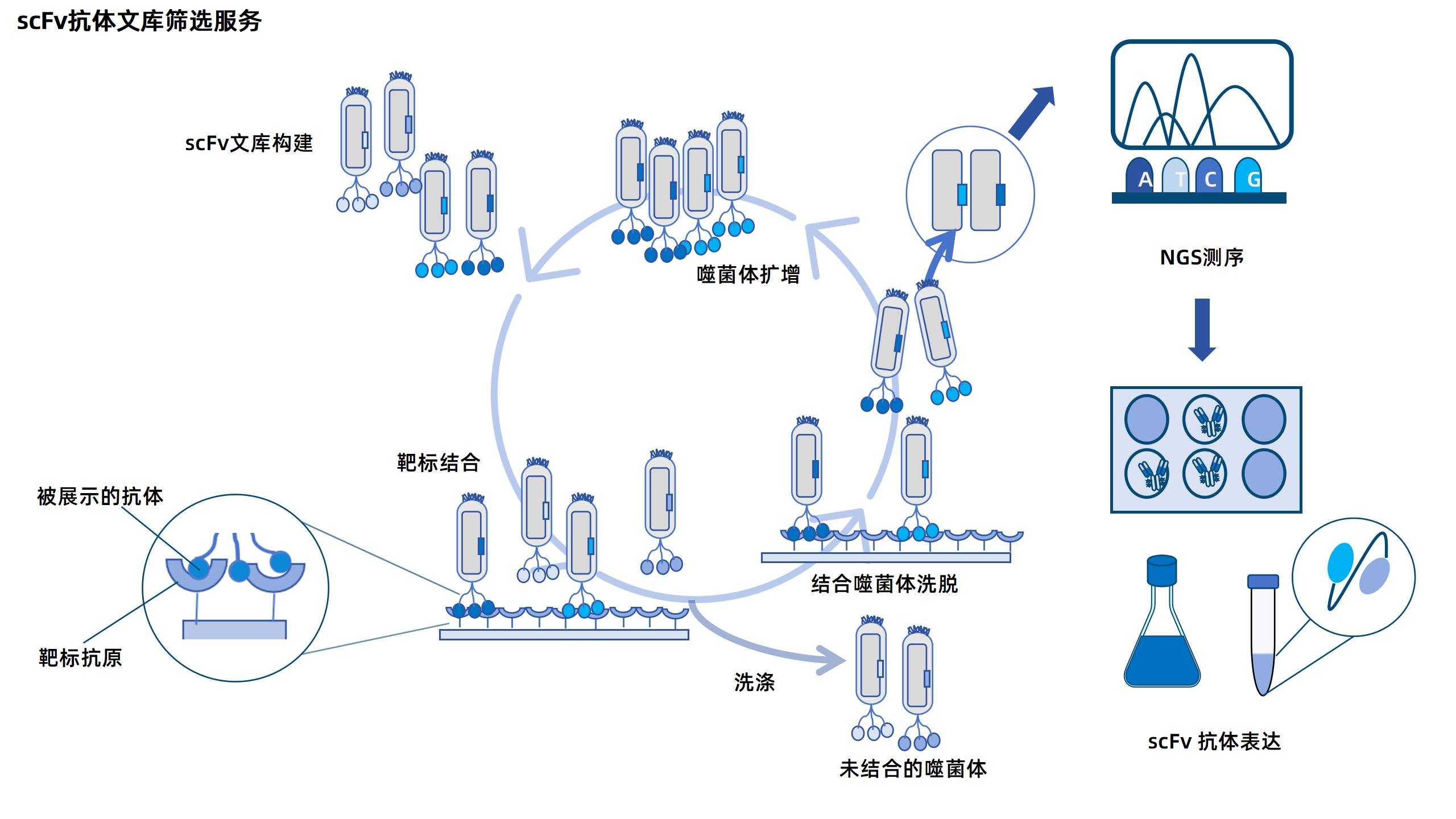 卡梅德新站图片-统一色系（中文）(1)_186.png