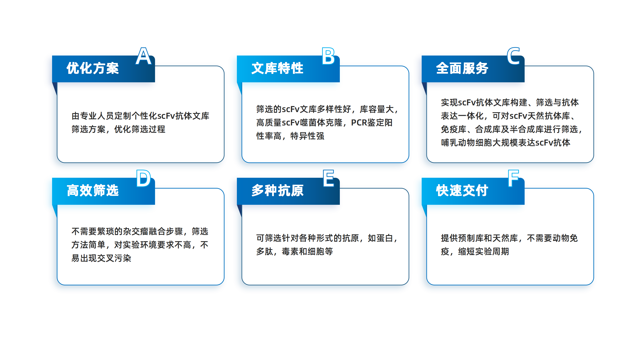 卡梅德新站图片-统一色系（中文）(1)_187.png