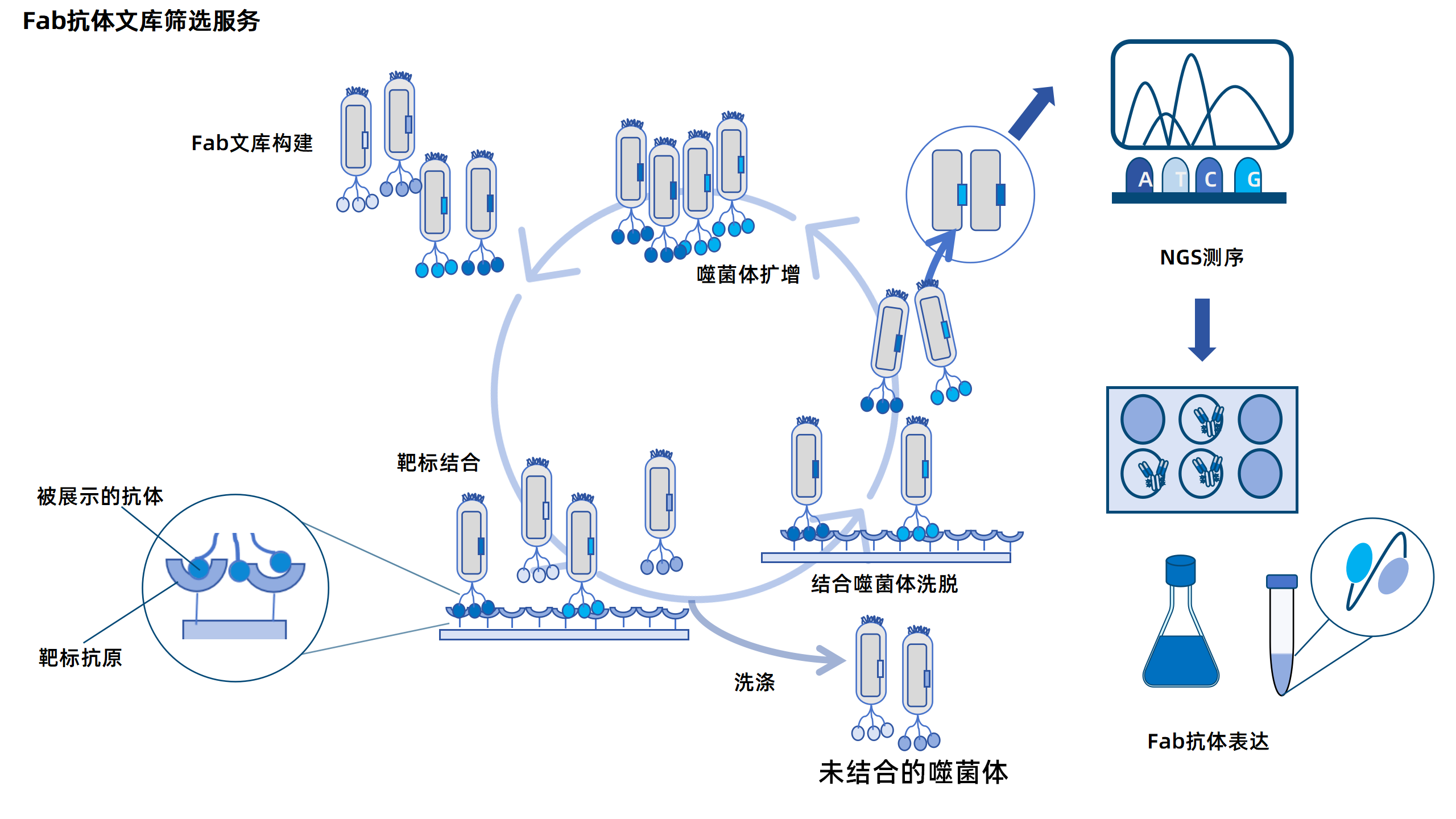 卡梅德新站图片-统一色系（中文）(1)_192.png