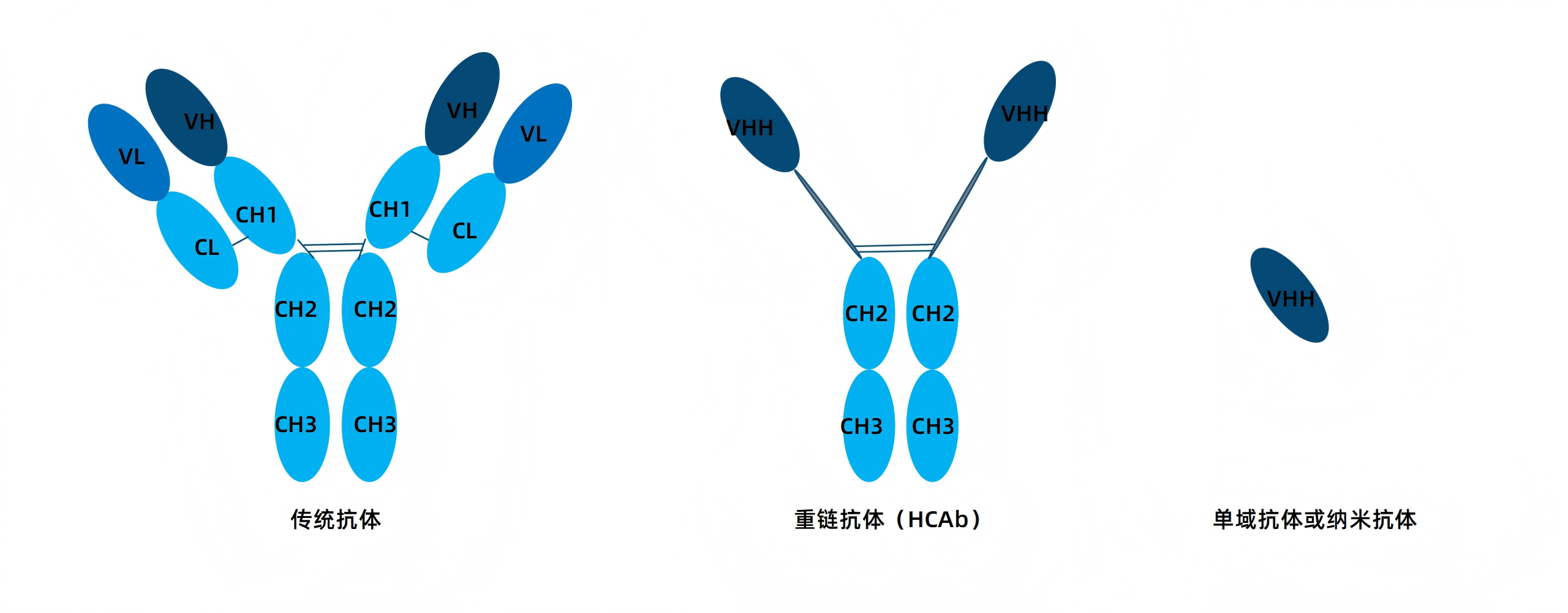 卡梅德新站图片-统一色系（中文）(1)_197(1).png