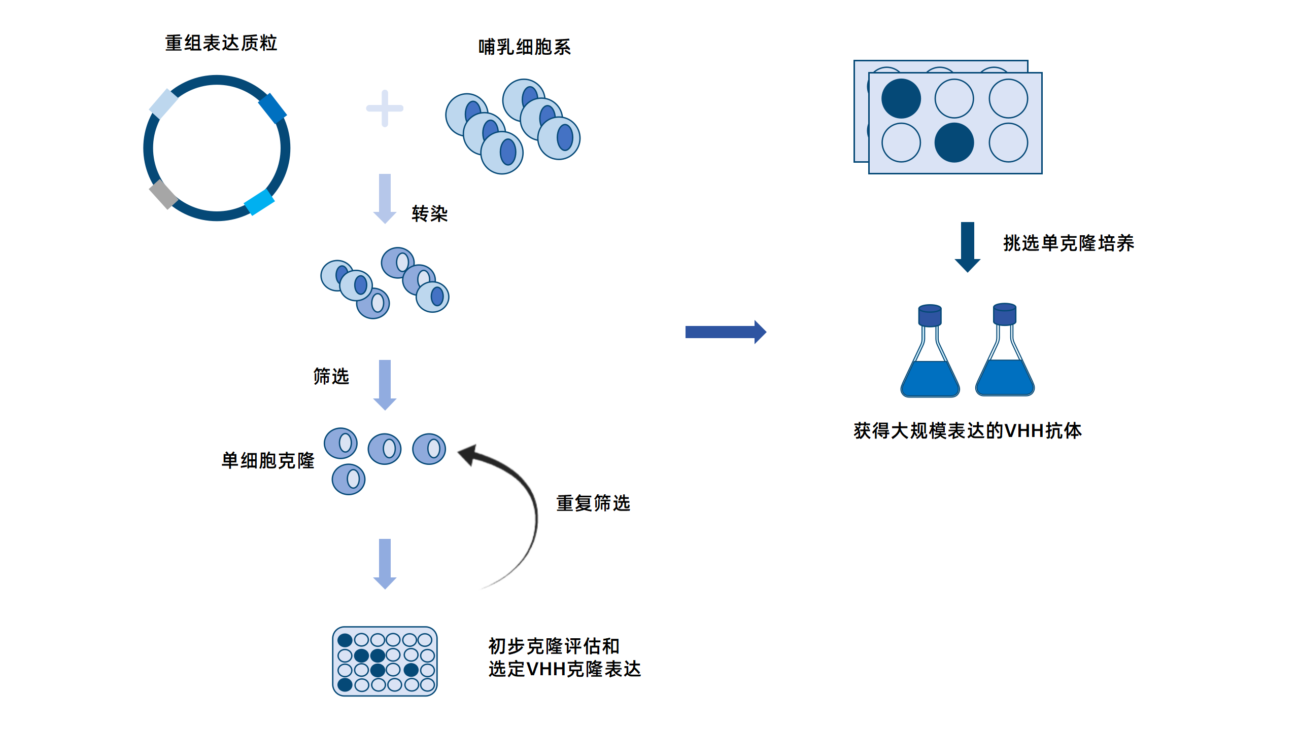 卡梅德新站图片-统一色系（中文）(1)_198.png