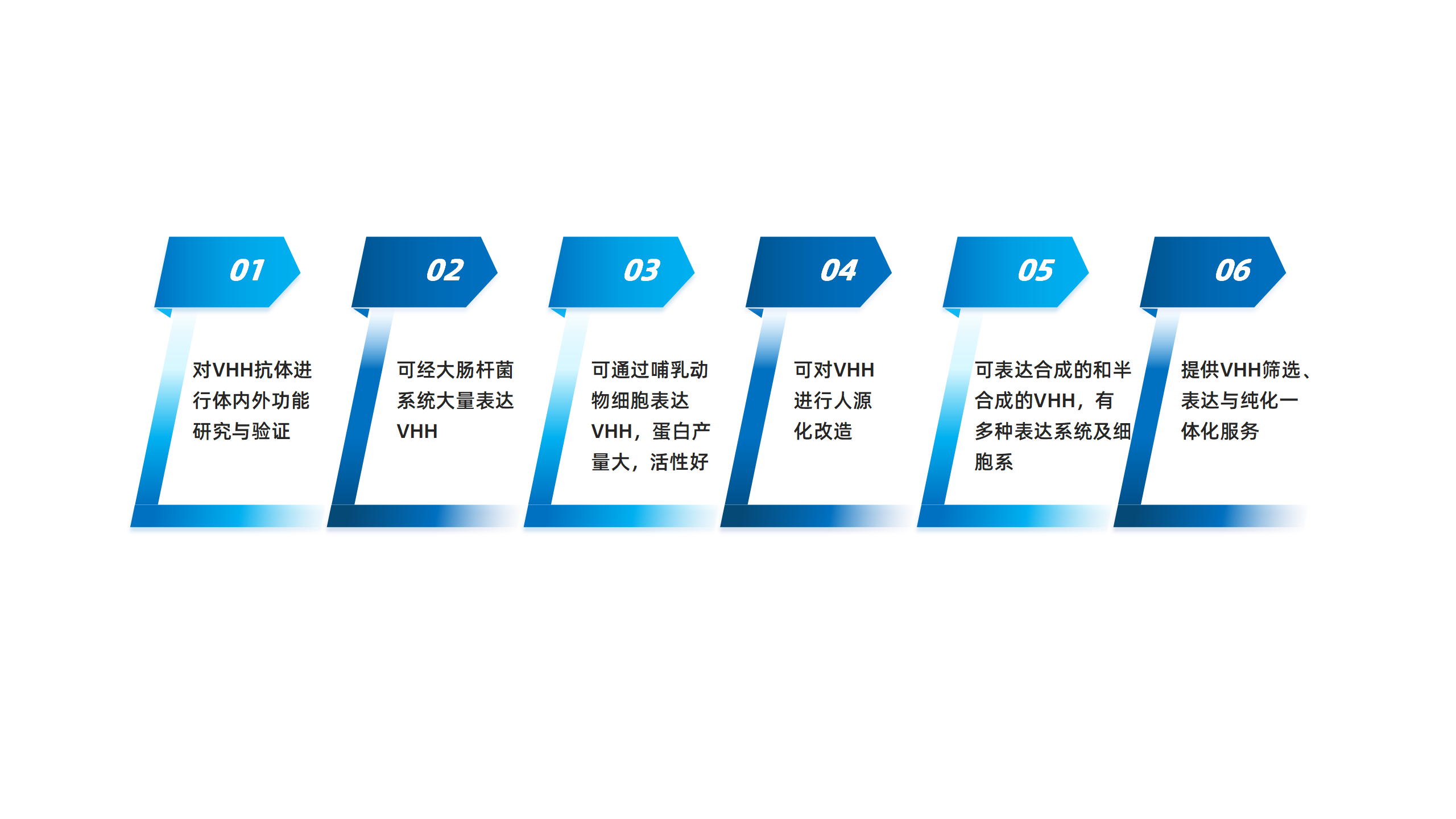 卡梅德新站图片-统一色系（中文）(1)_199.png