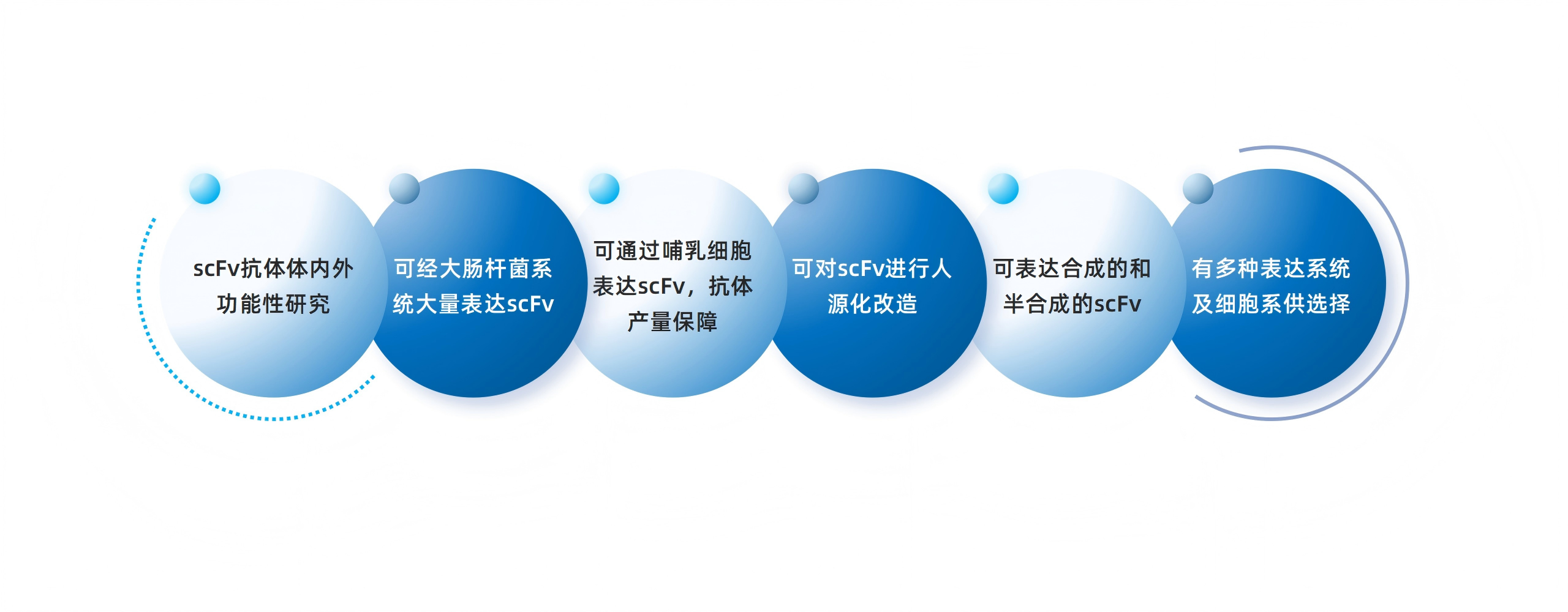 卡梅德新站图片-统一色系（中文）(1)_202(1).png