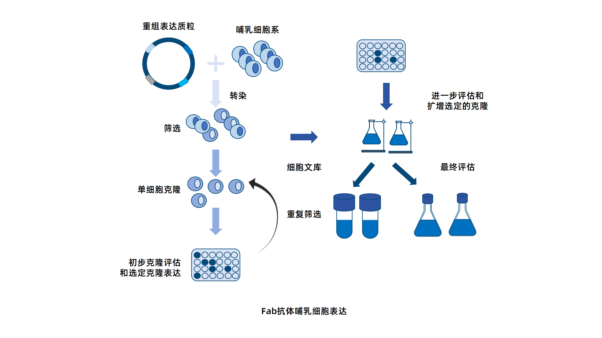 卡梅德新站图片-统一色系（中文）(1)_205.png